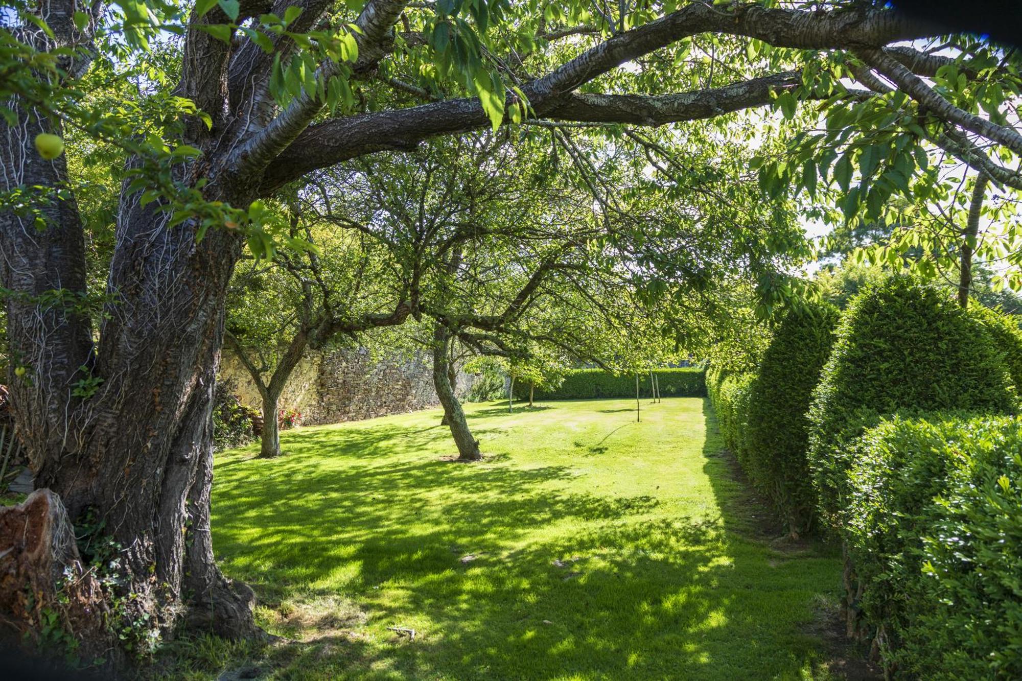 Araucaria House Pensionat Barreiros Eksteriør billede